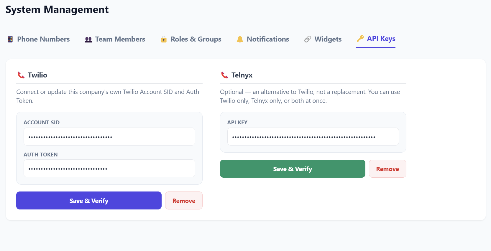 Entering the Telnyx API key on the API Keys tab