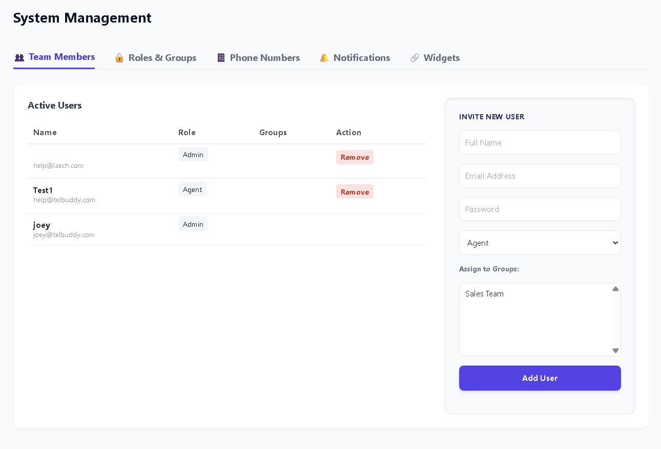 Team members list with invite form