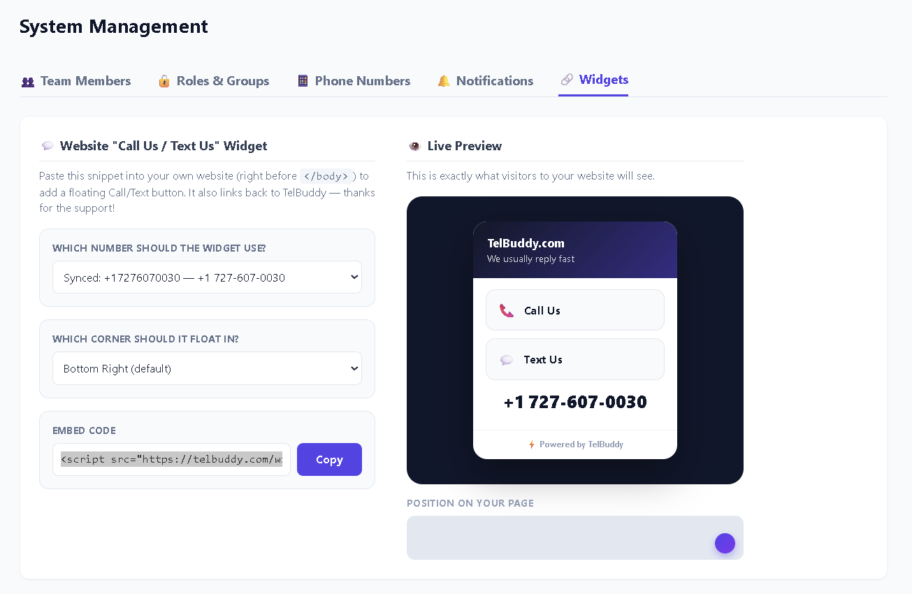 Widget embed code ready to copy